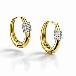 Gold Küçük Zirkon Taşlı Küpe