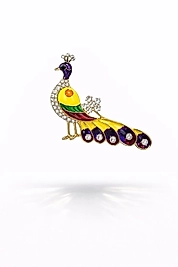 Renkli Tavus Kuşu Broş ✨