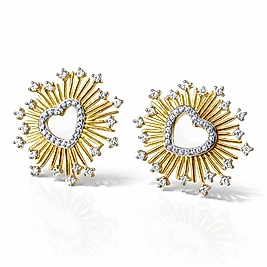 Çift Renk Taş Detaylı Yıldız Küpe